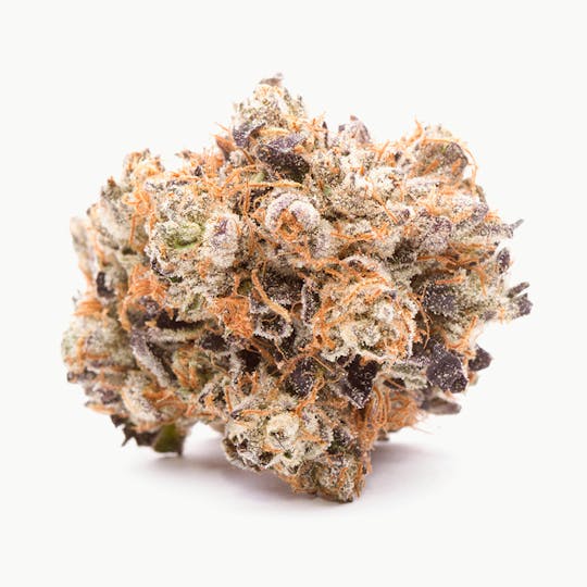 Shango - Yoda - 1