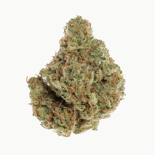 Space Monkey Meds - Galactic Bliss - 1