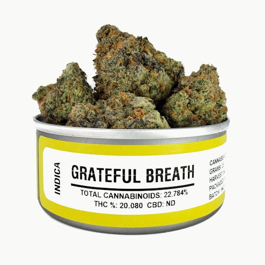 Space Monkey Meds - Grateful Breath - 1