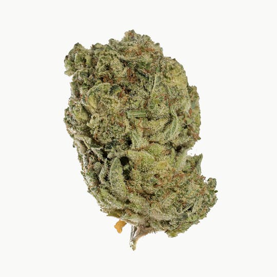 Space Monkey Meds - Sour Monkey OG - 1