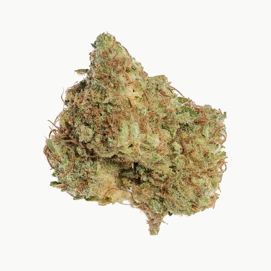 Space Monkey Meds - The Sauce - 1