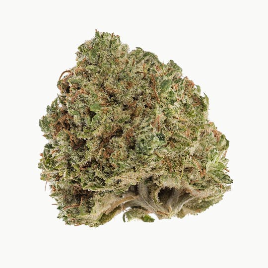 Space Monkey Meds - White Fire OG - 1