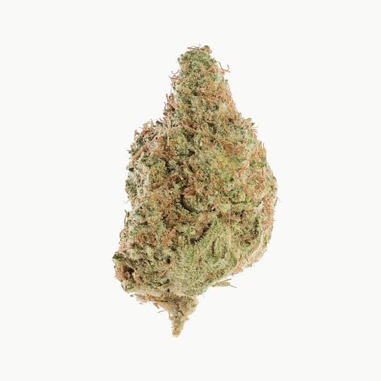 Space Monkey Meds - White Zombie - 1