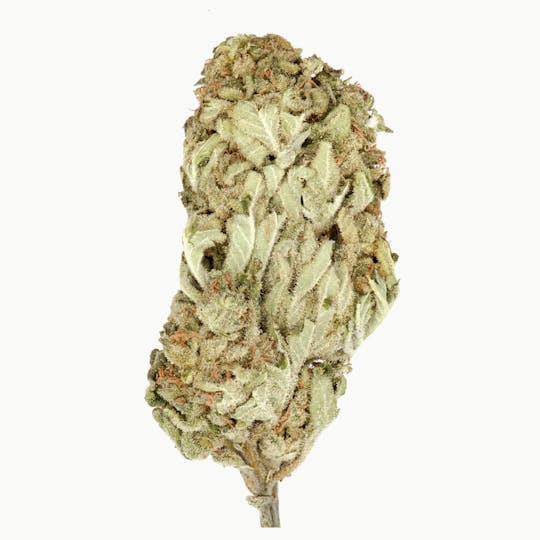 The Good - Green Crack #2 - 1