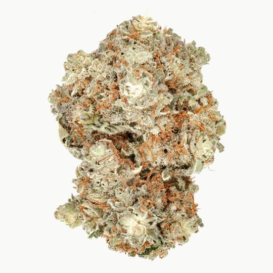 The Good - Jackberry - 1