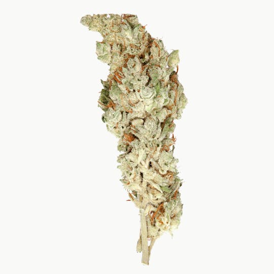 The Good - Killer Hash Plant - 1