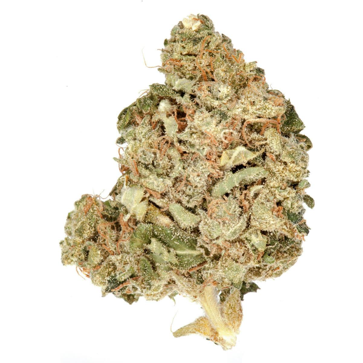 The Good - Kushage - 1