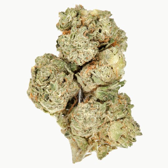 The Good - Louis XIII - 1