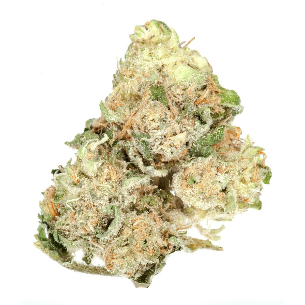 The Good - Mama Mia - 1