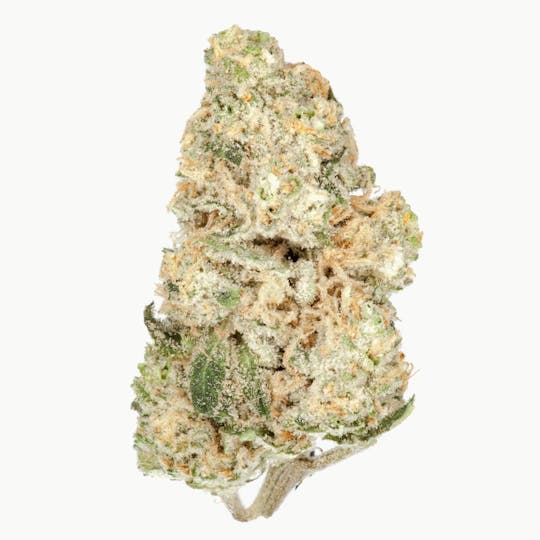 The Good - Marmalate - 1