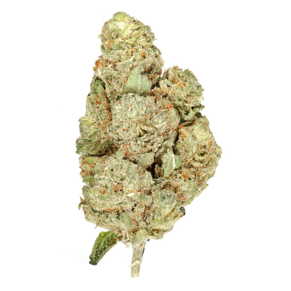 The Good - OG Kush - 1