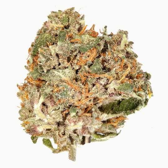 The Good - Purple Maroc - 1