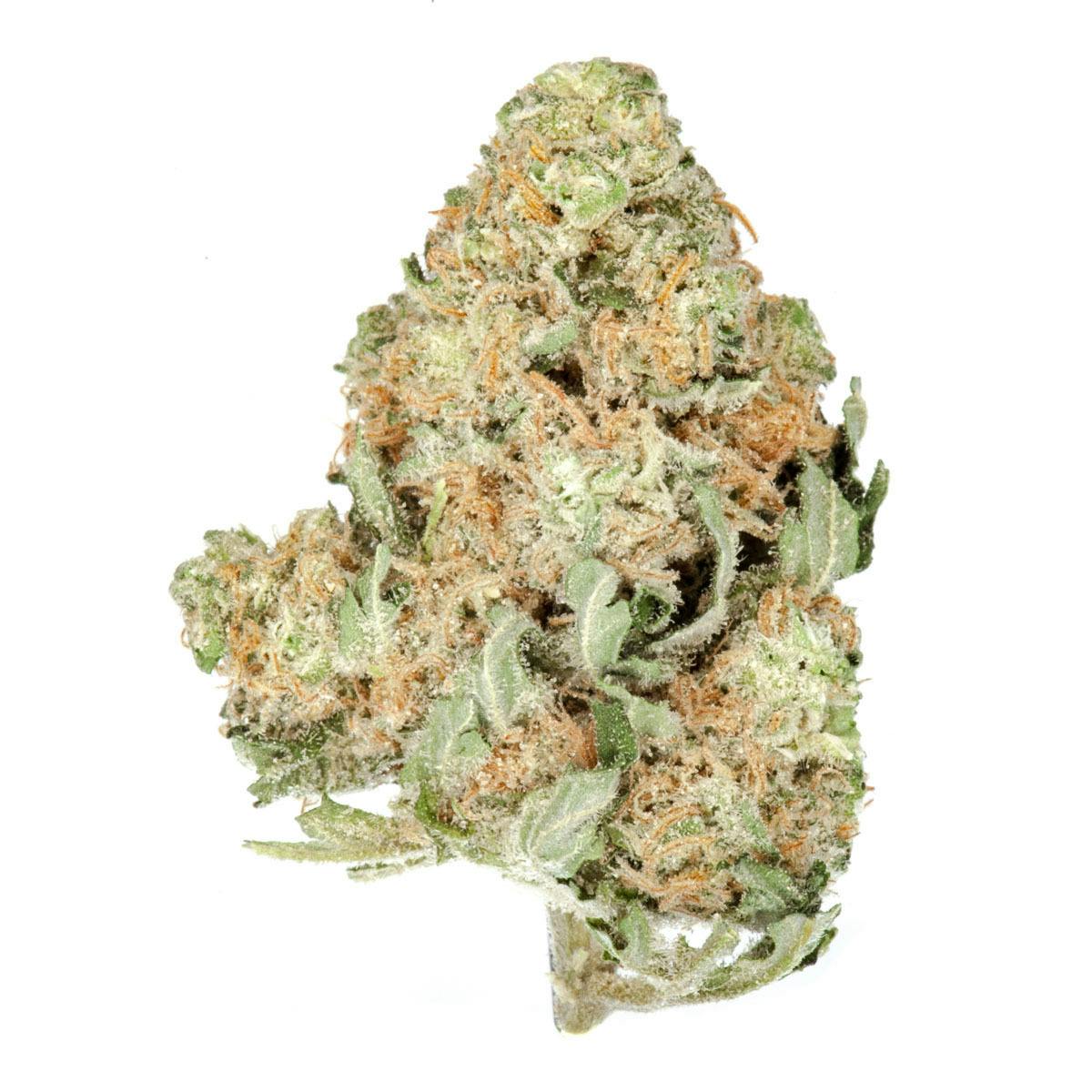 The Good - Skunk #1 - 1