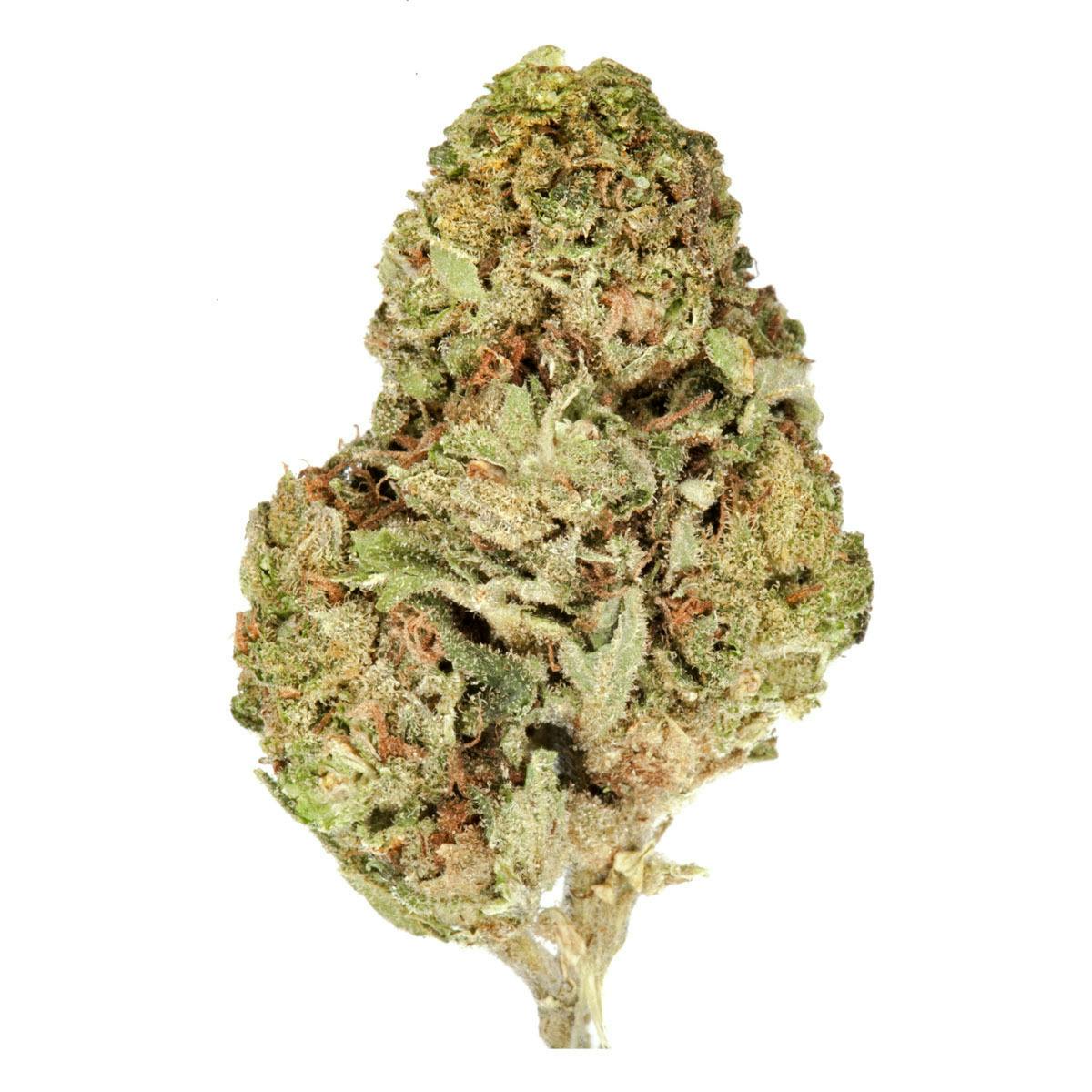 The Good - Sugar Cookies - 1