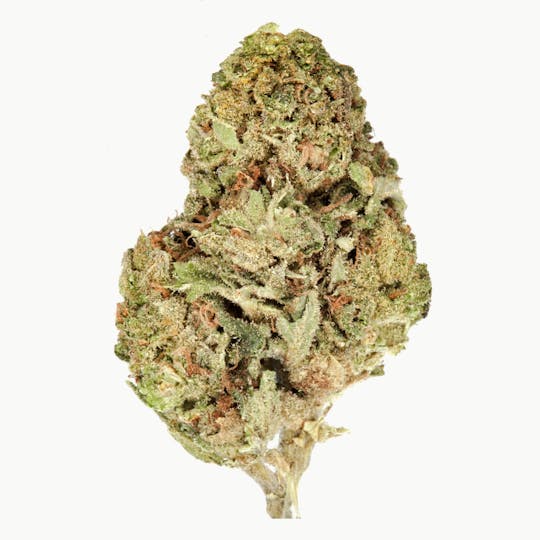 The Good - Sugar Cookies - 1