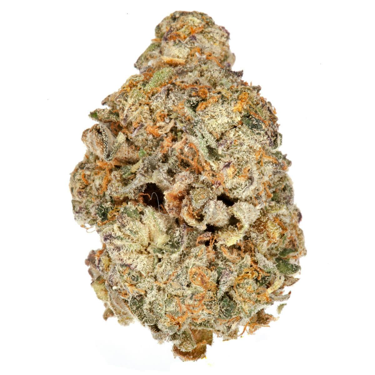 The Good - Super Samoan - 1