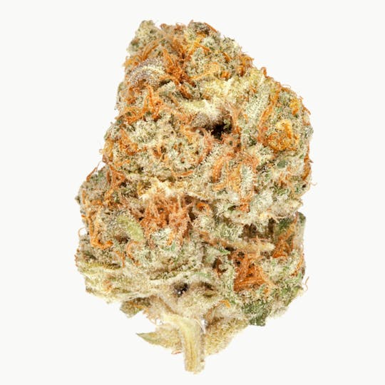 The Good - Tangie Gorilla Glue - 1