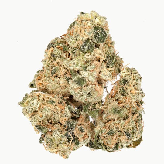 The Good - Violator Kush - 1