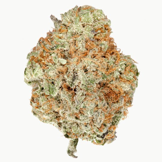 The Good - Wifi OG - 1