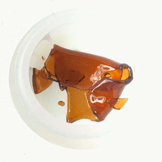 The Good - Shiatsu Nurse Shatter - 1