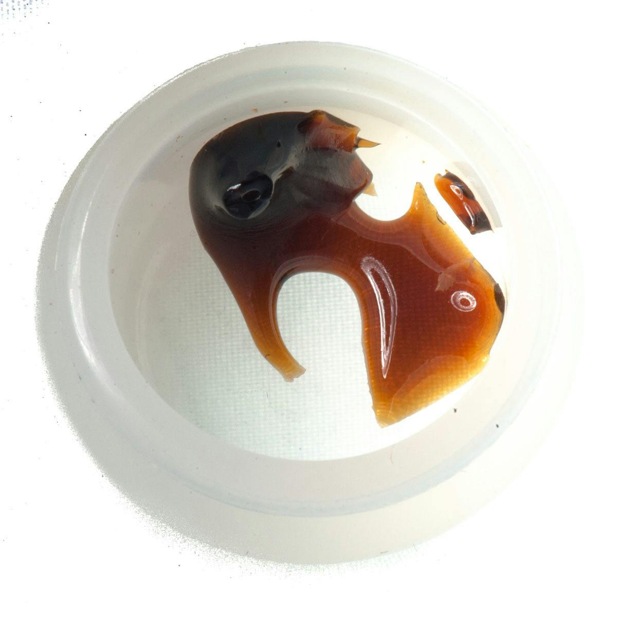 The Good - White Widow Shatter - 1
