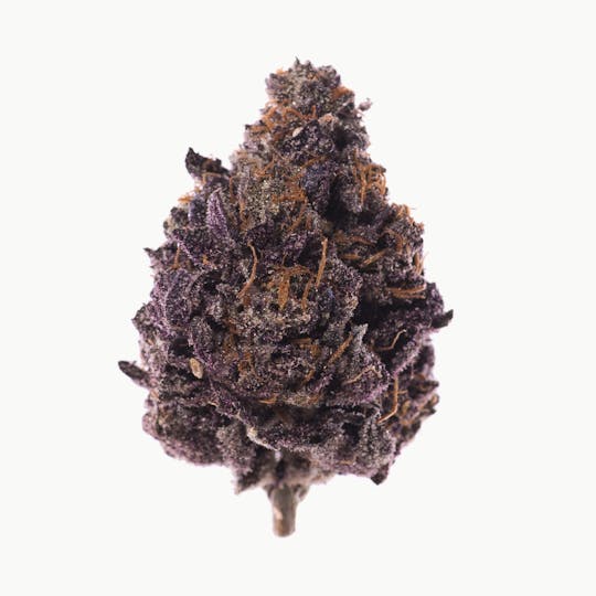 Space Monkey Meds - Dark Matter - 1