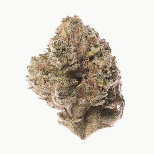Space Monkey Meds - Elmers Glue - 1