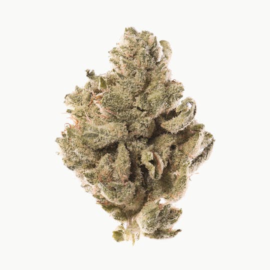 Space Monkey Meds - Super Glue - 1