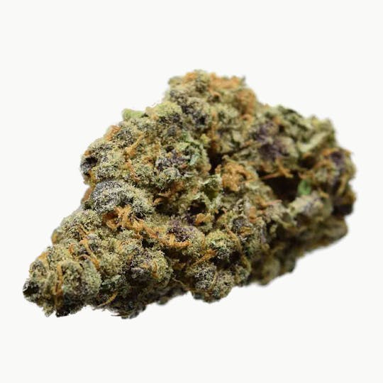 Oregon Genetics - Black Cherry Soda - 1