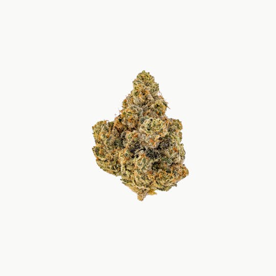 FloraCal Farms - Lemon Bean - 1