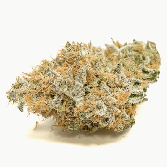 Funky Farms - Double Giggle - 1