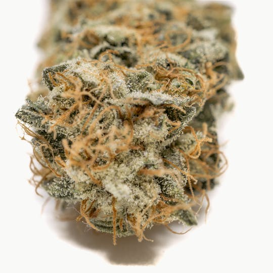 Funky Farms - Girl Scout Cookies - 1