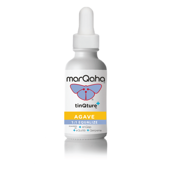 MarQaha - Agave TinQture 1:1 MED - 1