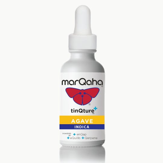 MarQaha - Agave TinQture Indica MED - 1