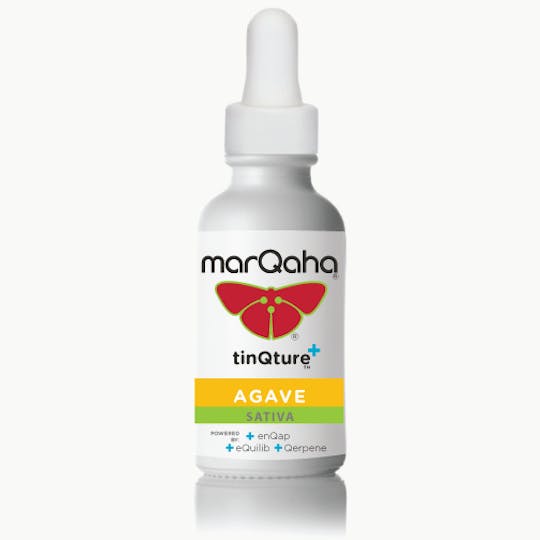 MarQaha - Agave TinQture Sativa MED - 1