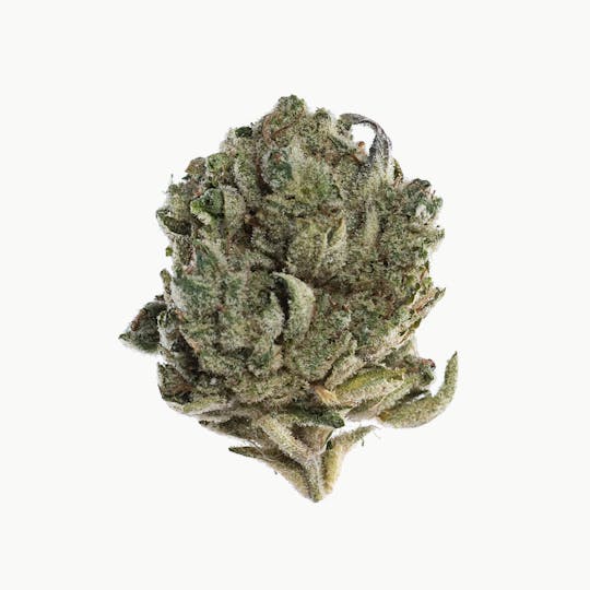 Space Monkey Meds - Sugar Cookies - 1