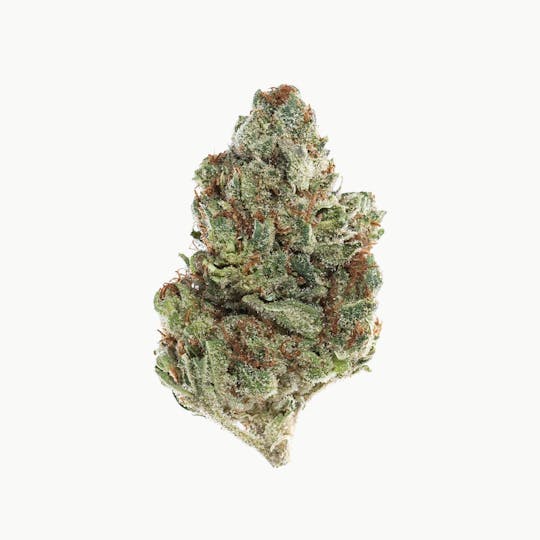 Space Monkey Meds - Jesus OG - 1