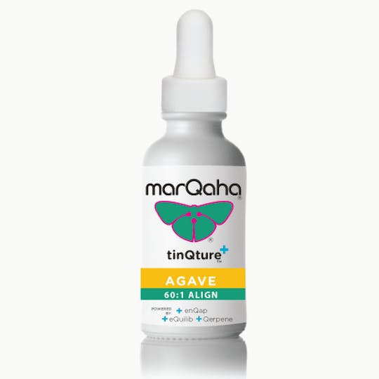 MarQaha - Agave TinQture CBD 100:1 REC - 1