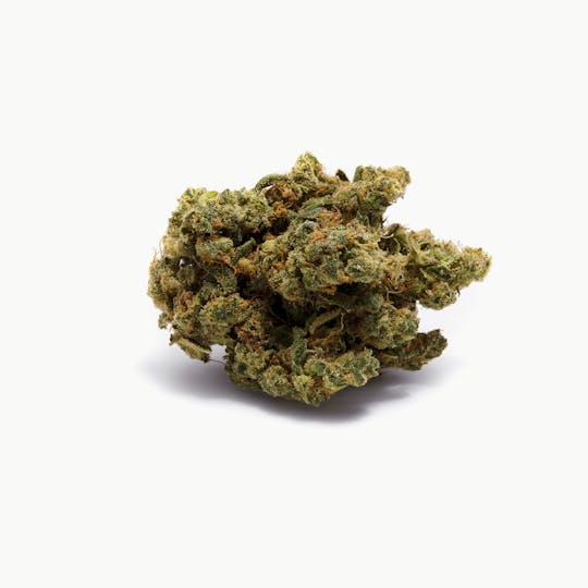 Tryke - Dutch Treat Haze - 1
