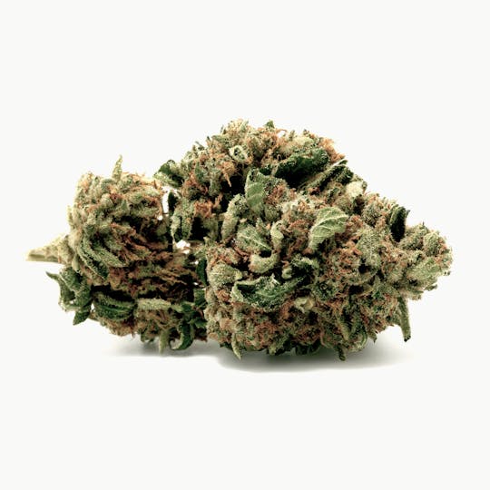 Tryke - Fire OG - 1