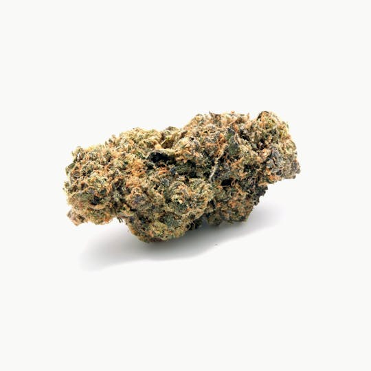 Tryke - Sherbert - 1