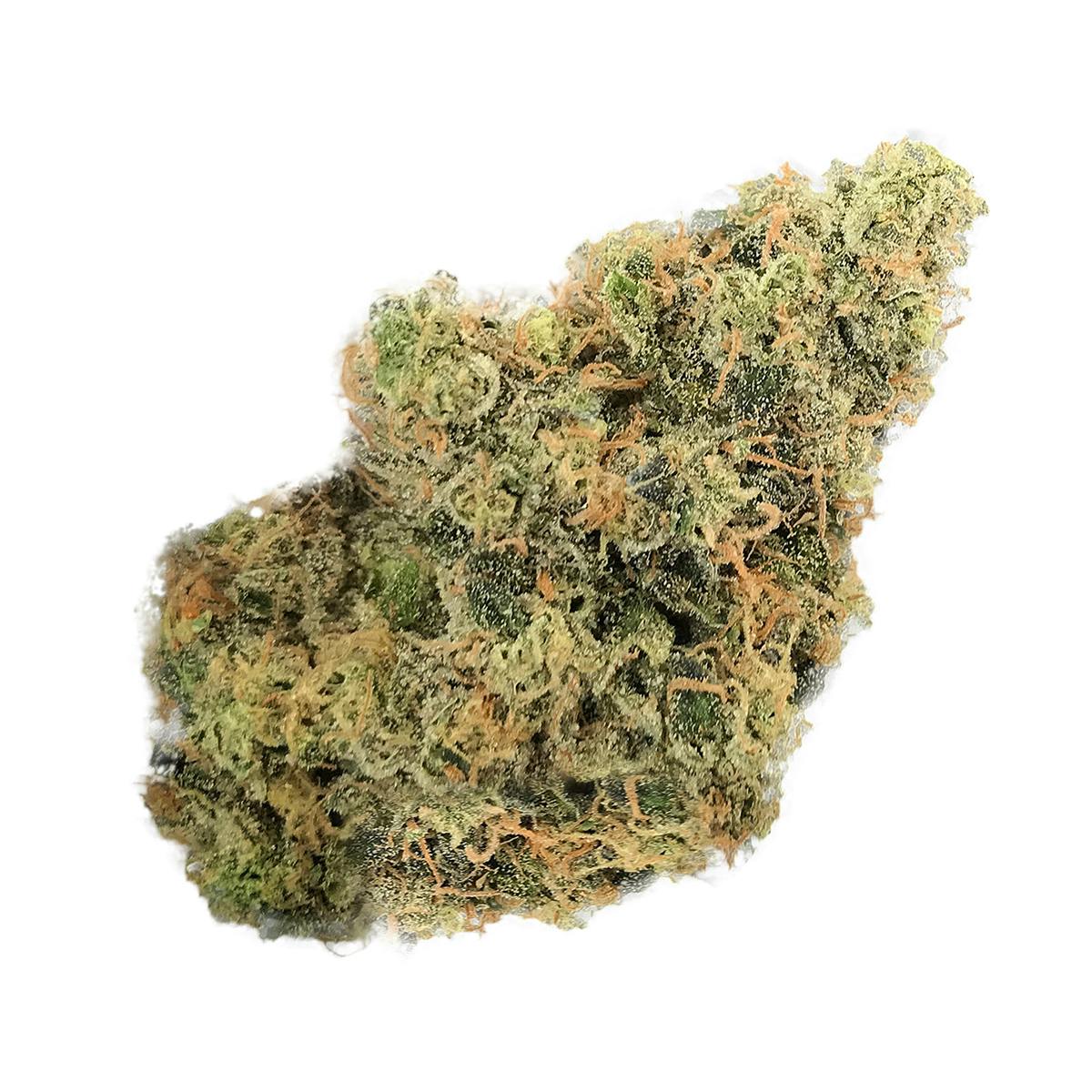 Fire Meds - Fuego - 1