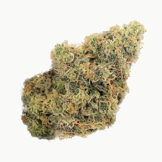 Fire Meds - Fuego - 1