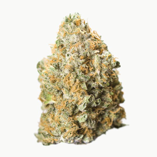 Oregrown - Alien Rift - 1