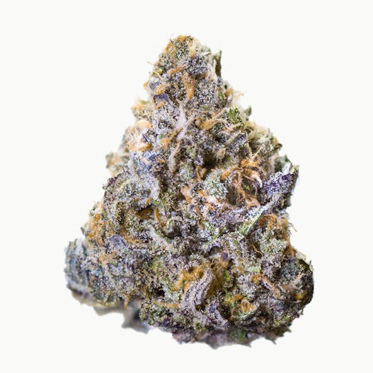 Oregrown - Blue Magoo - 1