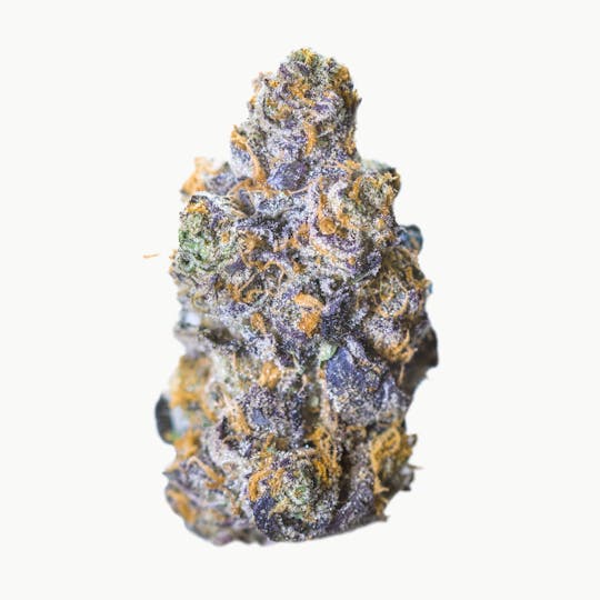 Oregrown - Forum Cut Cookies - 1