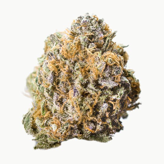 Oregrown - Lemon Larry - 1