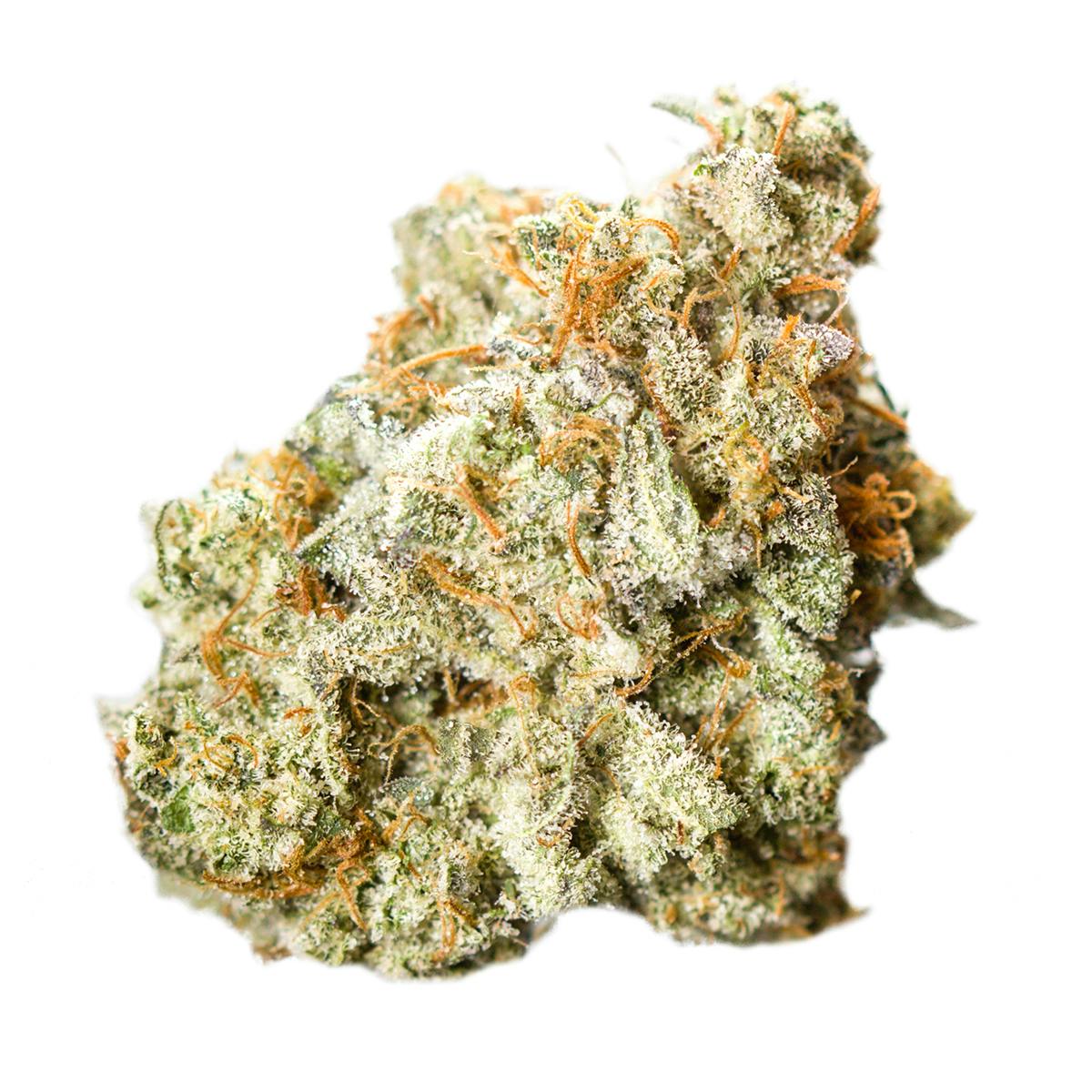 Oregrown - Thai Afghani - 1