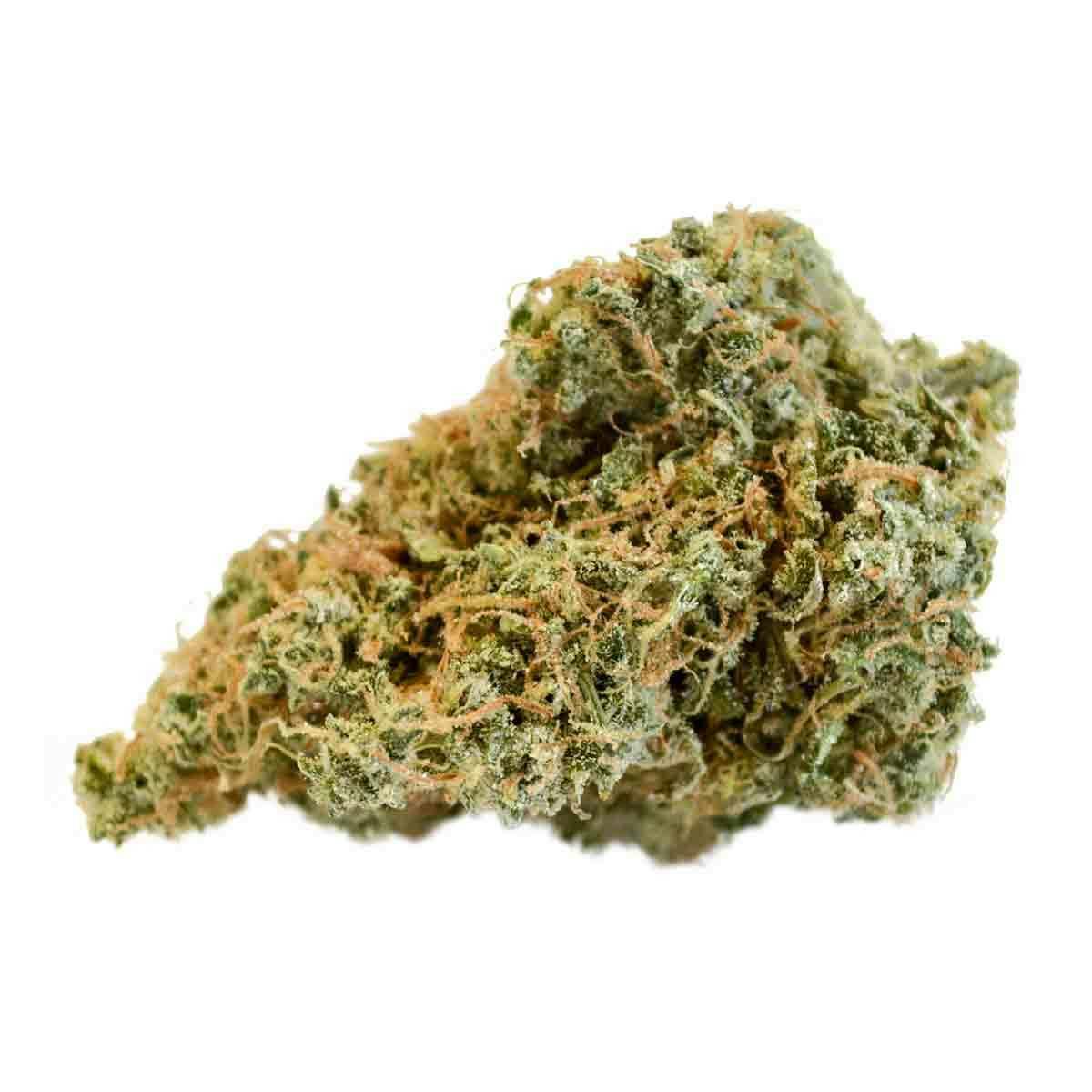 DEEPWATER Botanicals - Hawaiian Dutch - 1