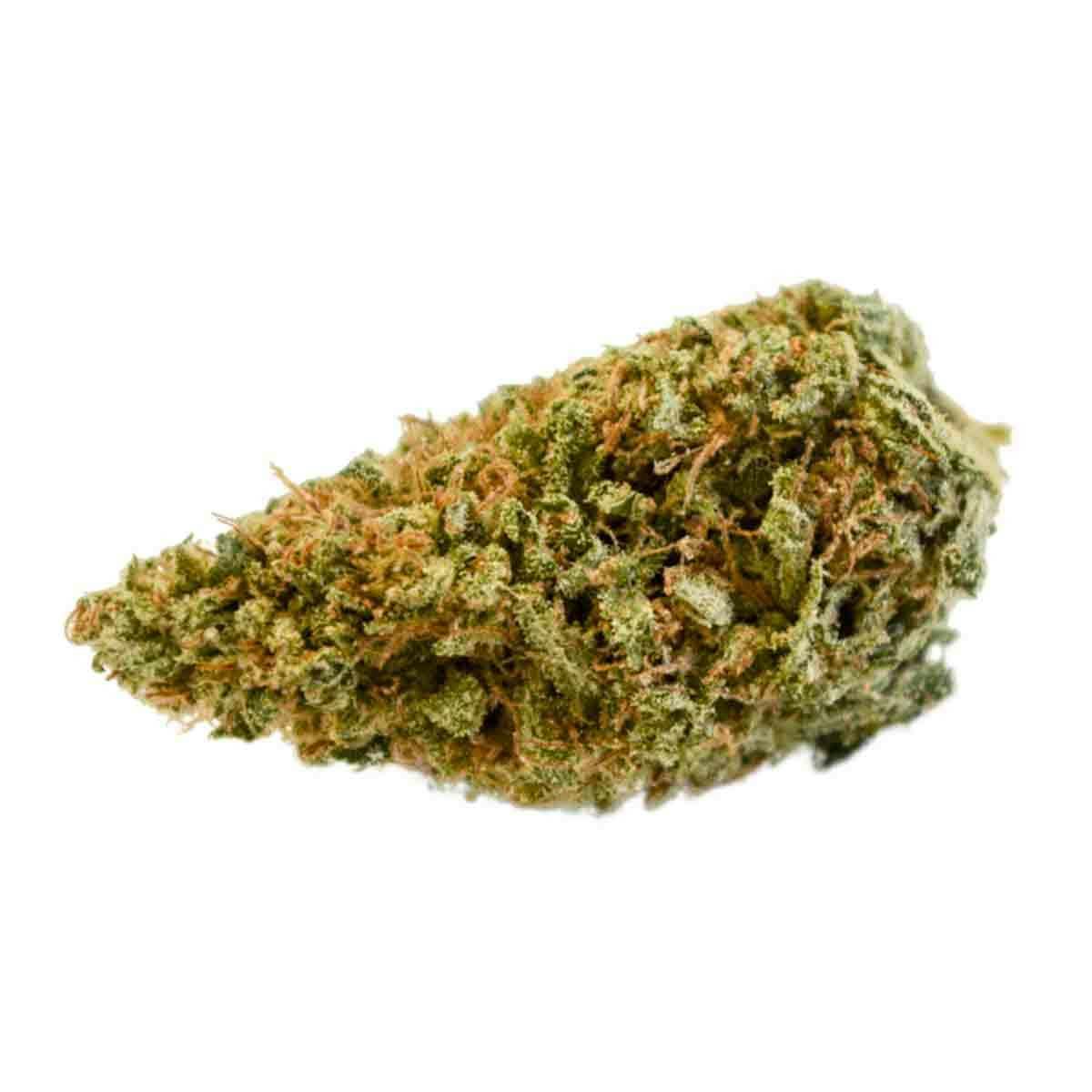 DEEPWATER Botanicals - Sugar Plum - 1